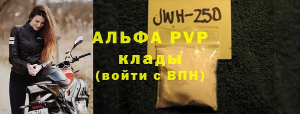 СК Белокуриха