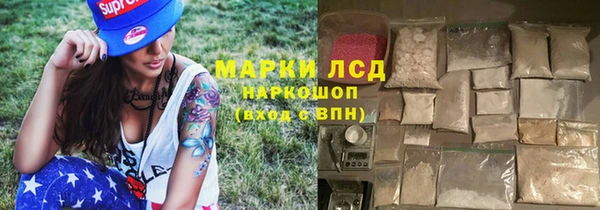 СК Белокуриха