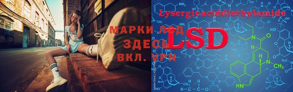 СК Белокуриха