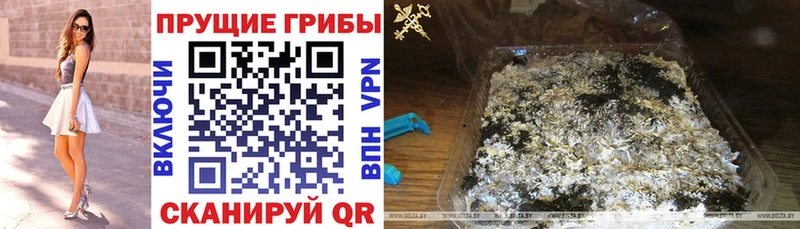 Галлюциногенные грибы GOLDEN TEACHER  Чёрмоз 
